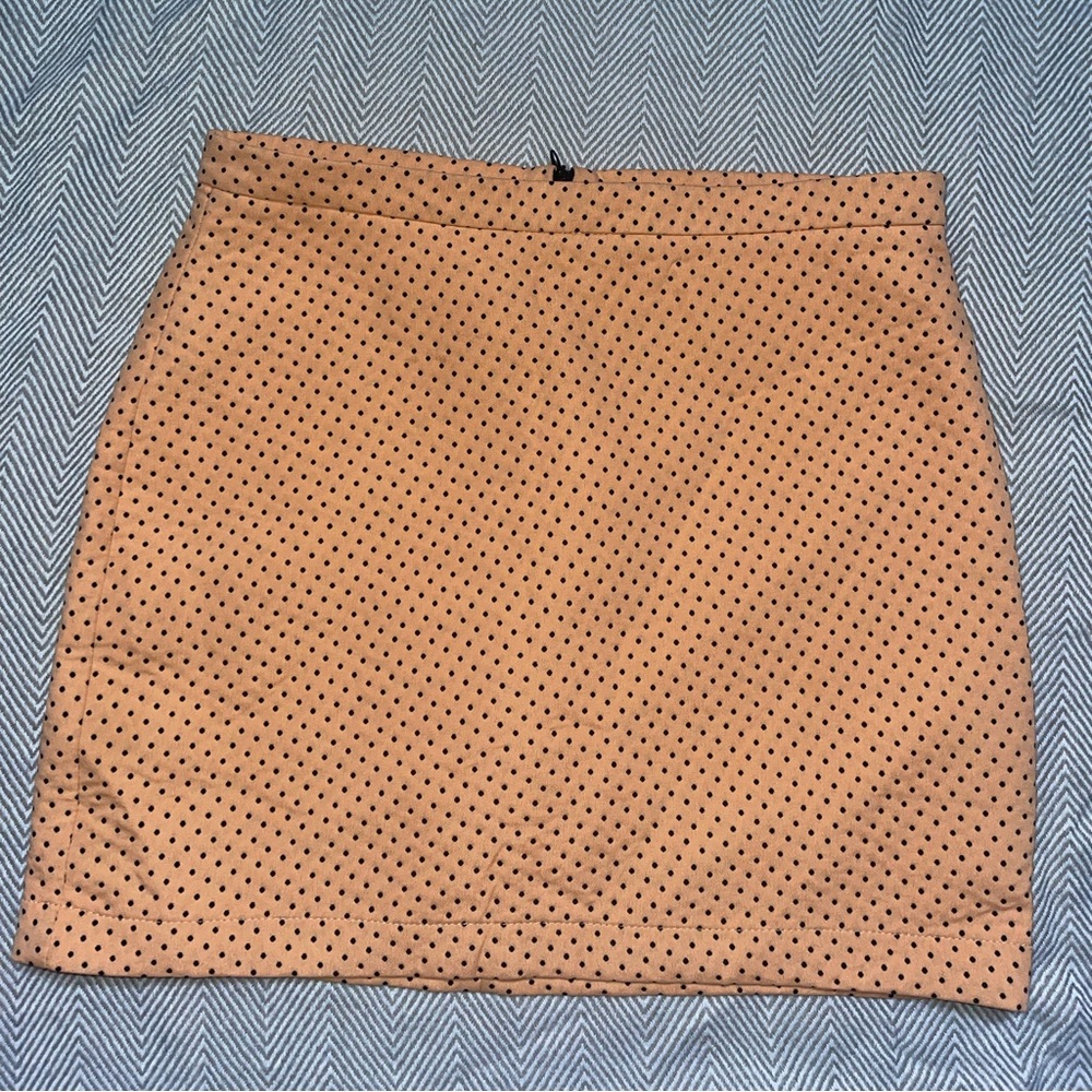 Zara Trafaluc Polka Dot Skirt